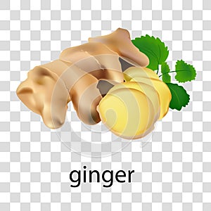 Ginger on a light background.